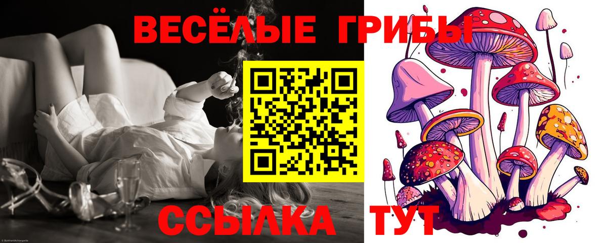 Муром  Псилоцибиновые грибы ЛСД  Вход с VPN 
